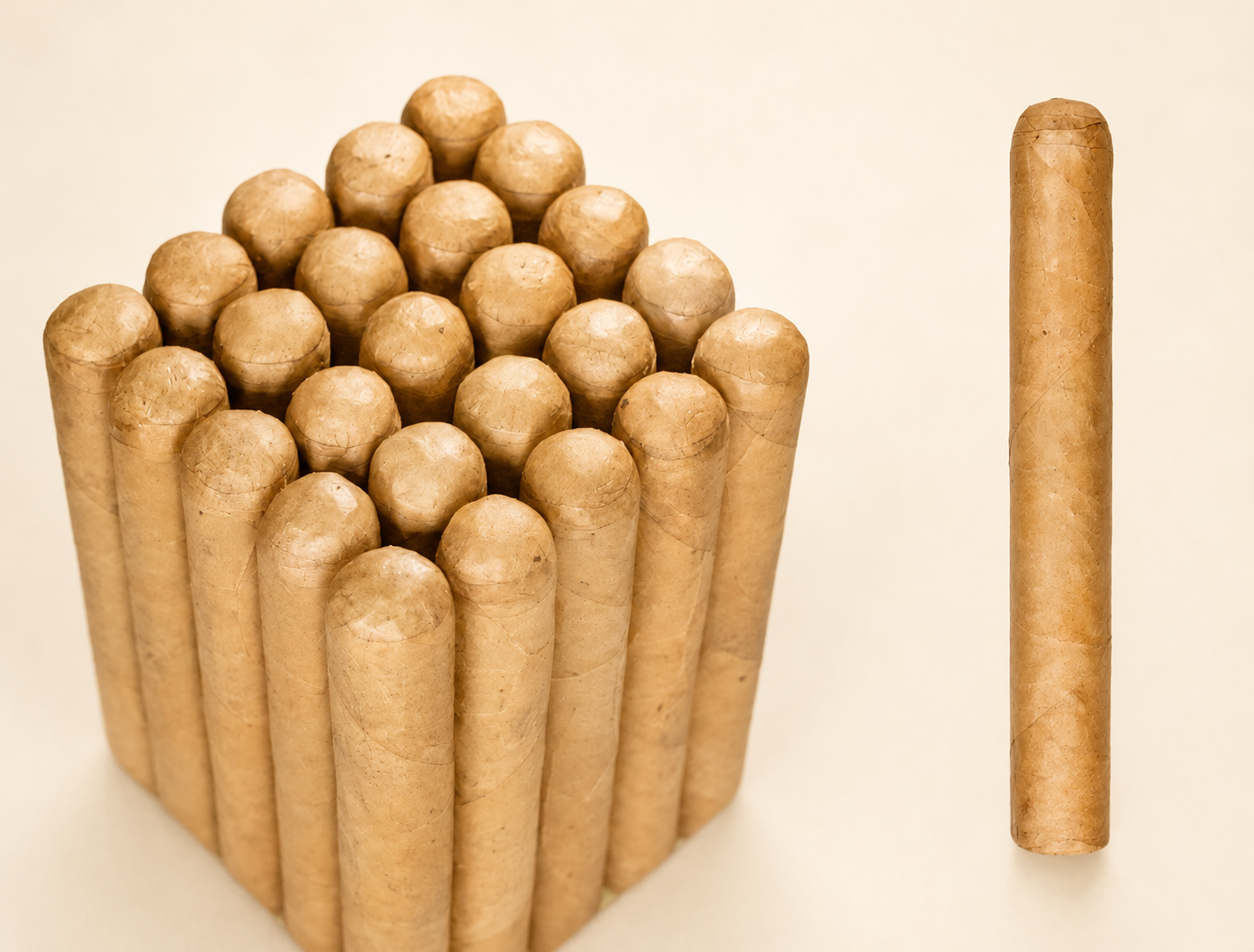 Duke Connecticut - Bundle of 25